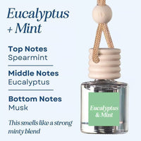 Eucalyptus + Mint