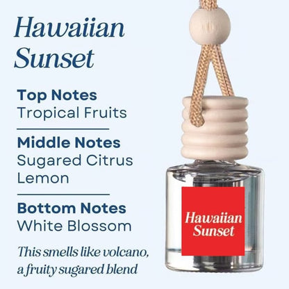 🥰This Week's Special Price  $12.99🍃Scented Car Air Freshener