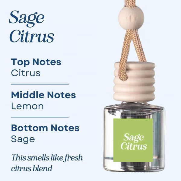 🥰This Week's Special Price  $12.99🍃Scented Car Air Freshener