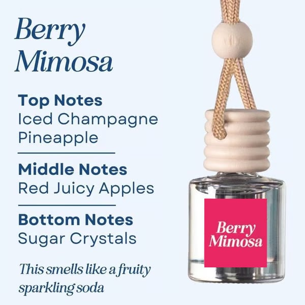🥰This Week's Special Price  $12.99🍃Scented Car Air Freshener