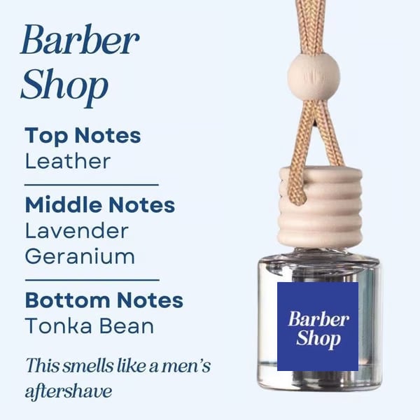🥰This Week's Special Price  $12.99🍃Scented Car Air Freshener
