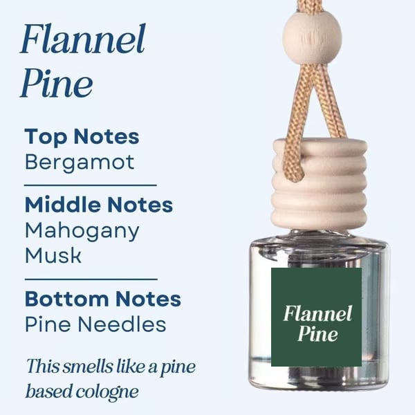 🥰This Week's Special Price  $12.99🍃Scented Car Air Freshener
