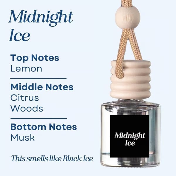 🥰This Week's Special Price  $12.99🍃Scented Car Air Freshener