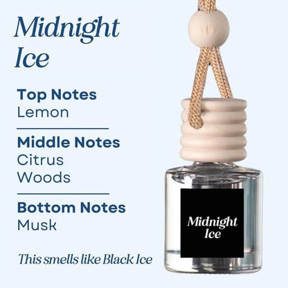 🥰This Week's Special Price  $12.99🍃Scented Car Air Freshener