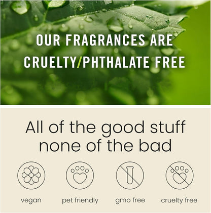 🥰This Week's Special Price  $12.99🍃Scented Car Air Freshener